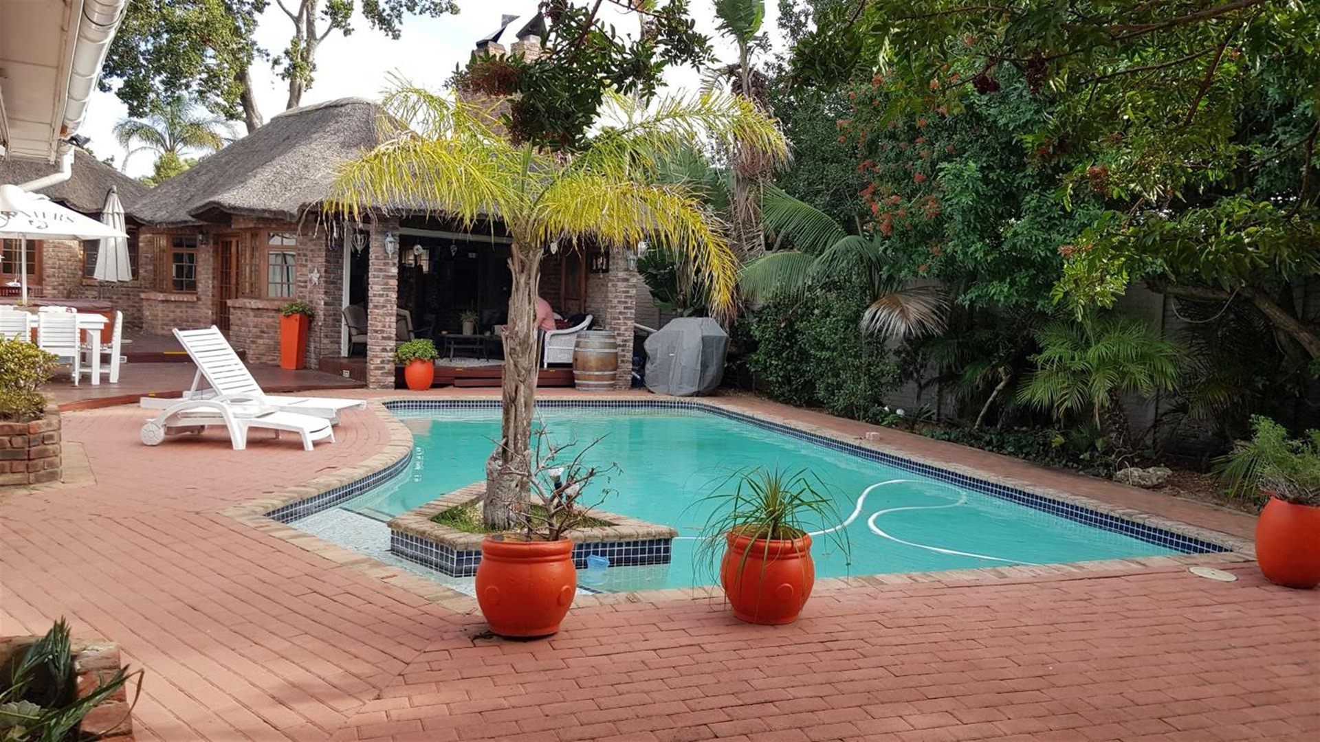 Walmer Heights Guesthouse thatched patio and heated pool in the afternoon sun